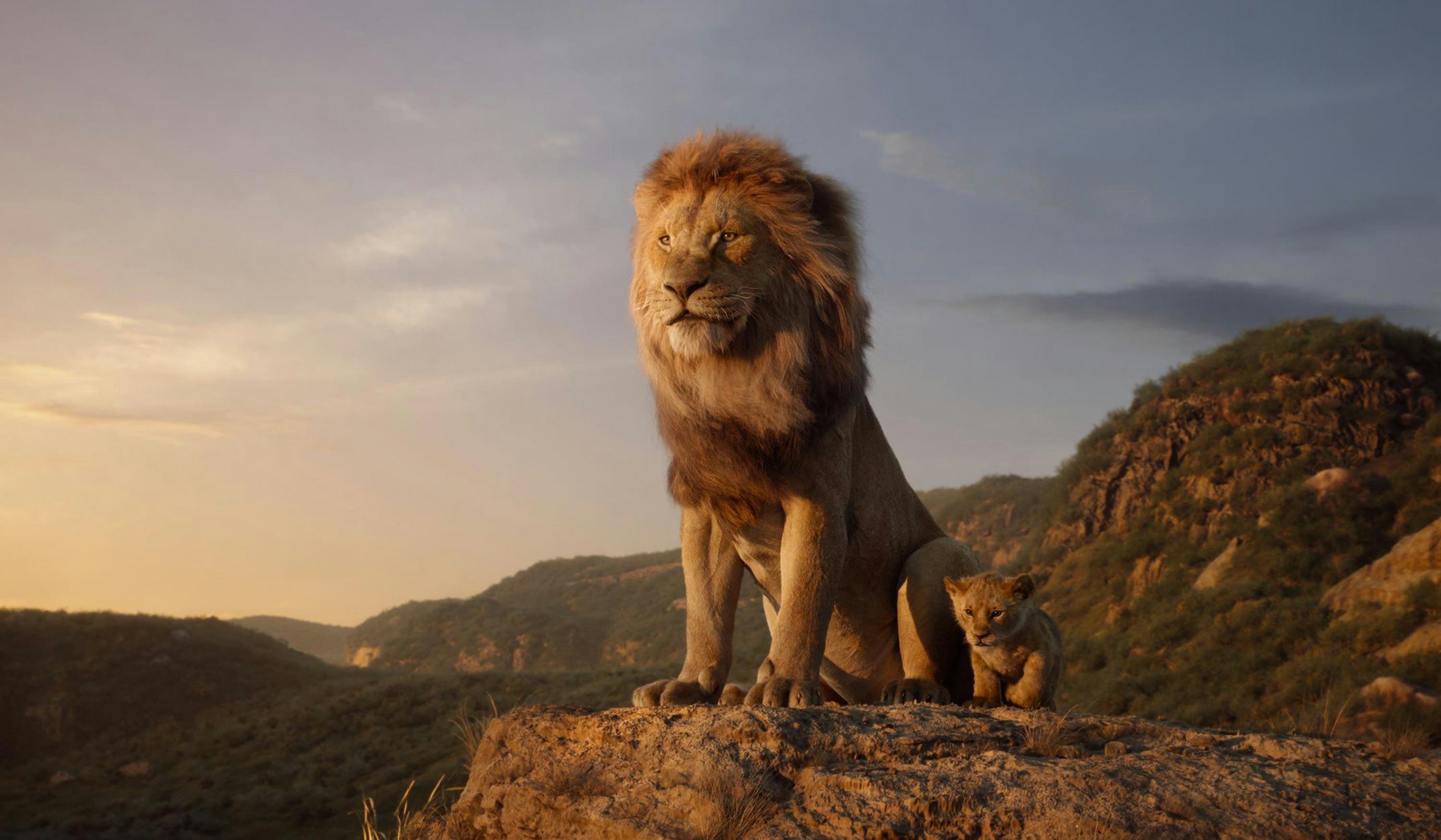 Adult Lion Fancy Dress Costume The Lion King Simba African Animal Outfit